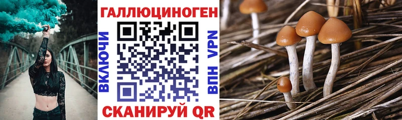 это формула  omg ССЫЛКА  Суоярви  Галлюциногенные грибы Psilocybine cubensis 